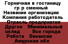 Горничная в гостиницу-гр/р сменный › Название организации ­ Компания-работодатель › Отрасль предприятия ­ Другое › Минимальный оклад ­ 1 - Все города Работа » Вакансии   . Амурская обл.,Благовещенск г.